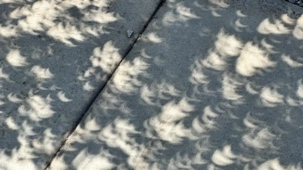 eclipse hojas | Oftalmoceuta - Centro de Ojos de Ceuta · Dr. Medín filename sep oftalmoceuta