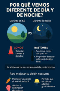 vision de dia o de noche | Oftalmoceuta - Centro de Ojos de Ceuta · Dr. Medín filename sep oftalmoceuta