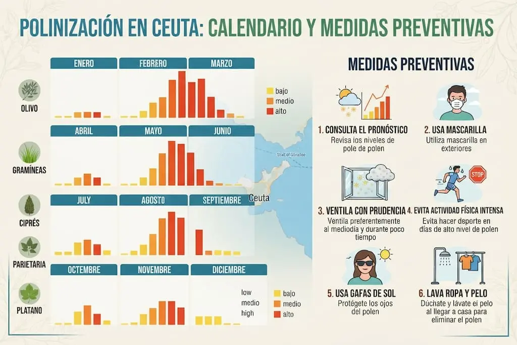Polinización en Ceuta calendario y medidas preventivas | Oftalmoceuta - Centro de Ojos de Ceuta · Dr. Medín filename sep oftalmoceuta